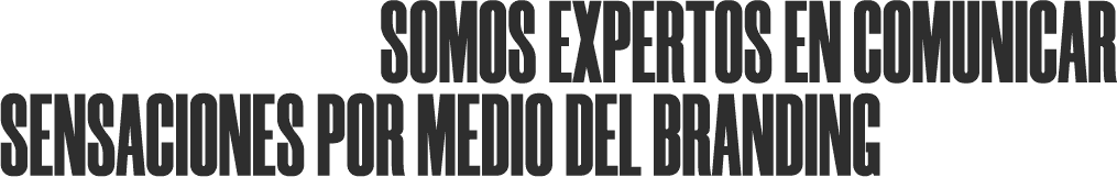 BRANDING MARKETING DIGITAL